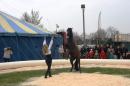 esquisse equestre 12 * 3504 x 2336 * (2.97MB)